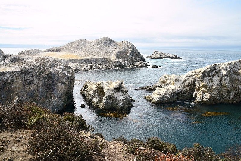 鸟岛，Point Lobos州保护区